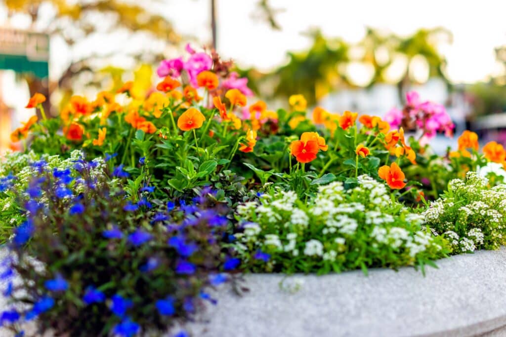 let see some flower for outdoor kitchen design ideas